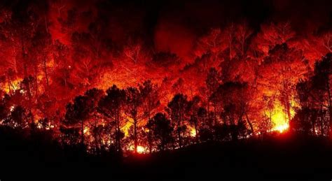 Le Incendi del 2019: Un Simbolo di Disuguaglianza Sociale e Resistenza Civile nella Francia di Laurent Berger